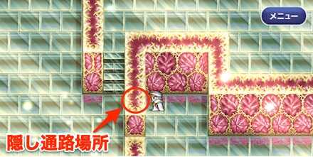 謎の迷宮8F隠し通路①