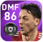 FPネマニャ・マティッチ(2/25)の画像