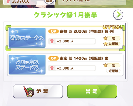 レースは得意なものを選ぶ