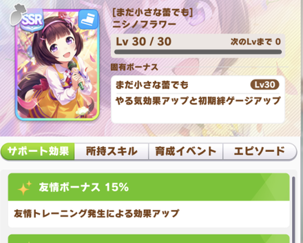 サポートカード