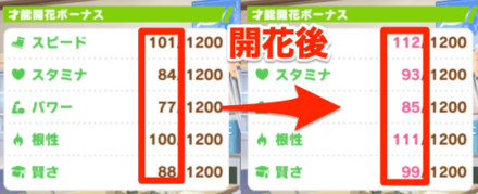 初期ステータスが上昇する