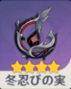 冬忍びの実の画像