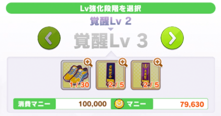 育成素材とマニーを消費してレベルアップ