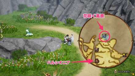 花咲く高原の場所