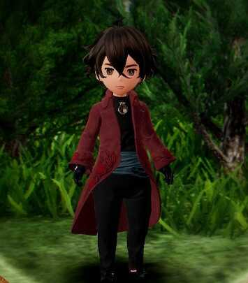 赤魔道士の画像