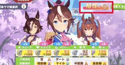 継承には相性がある