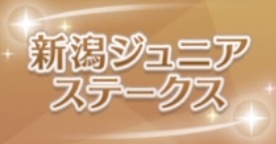 新潟ジュニアSの画像