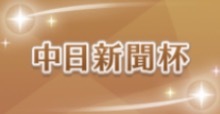 中日新聞杯の画像