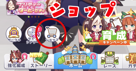 ホーム画面から確認できる