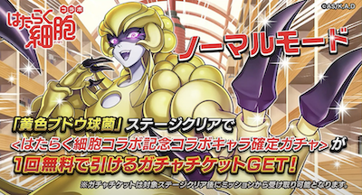 ノーマルモード黄色ブドウ球菌