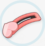 モモのヘアピンの画像