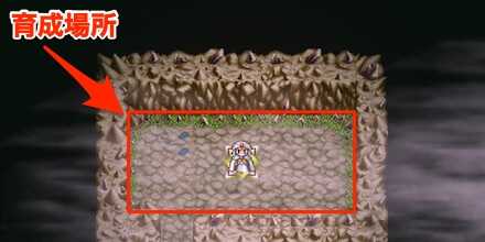 謎の洞窟ステータス上げ範囲