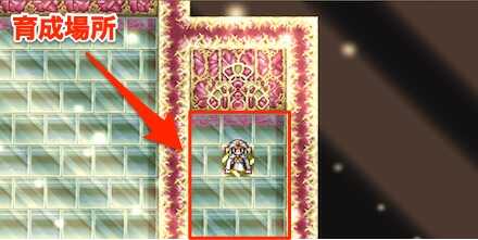 謎の迷宮　ステータス上げ範囲