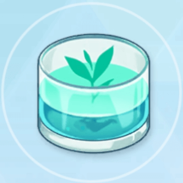 マンドレイクの芽画像