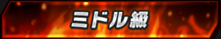 ミドル級