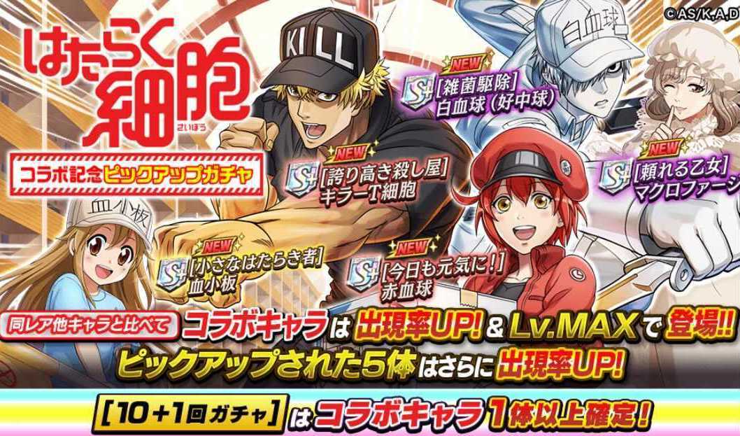 はたらく細胞コラボピックアップガチャ
