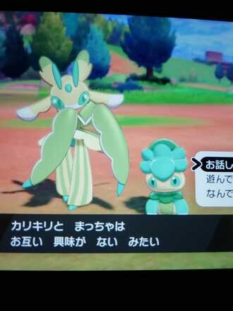 コメント画像