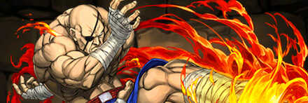 【7057】隻眼の猛虎・サガット