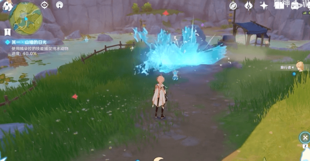 エンドラーの成長を手助けしよう