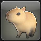 カピバラ・パップ