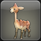 ダルメル・カフ