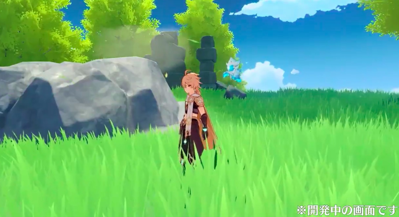 フィールドで連れ歩ける