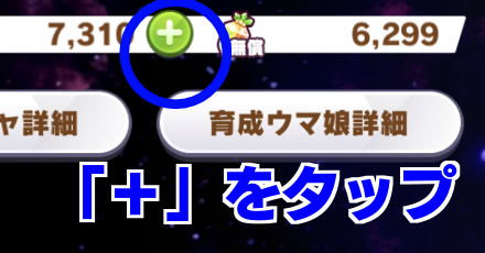 各画面のプラスボタンから購入できる