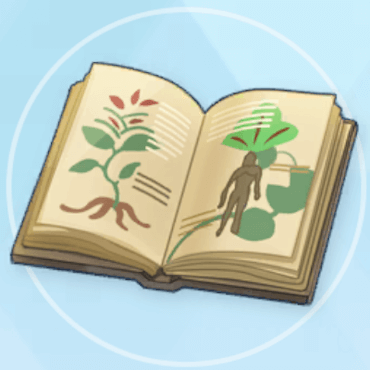 完全なヴォイニッチ手稿のコピー画像