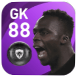 FPエドゥアル・メンディ(3/15)の画像