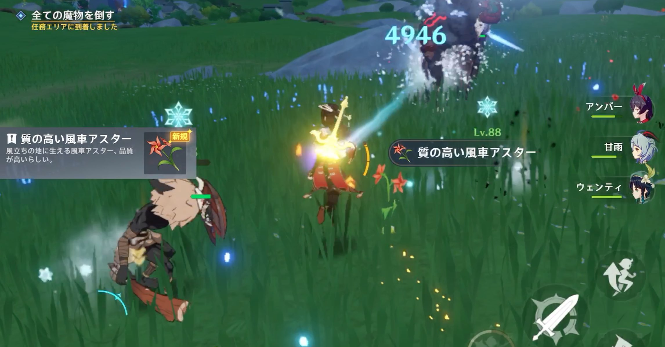 風車アスターを採集する