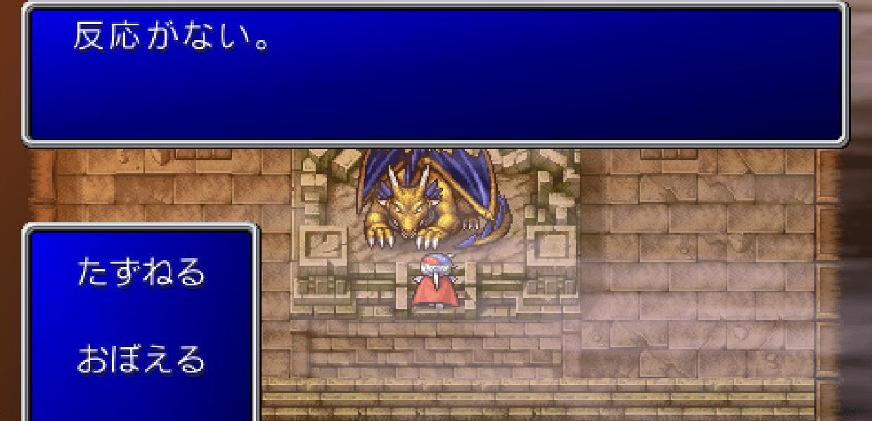 飛竜　アイテム