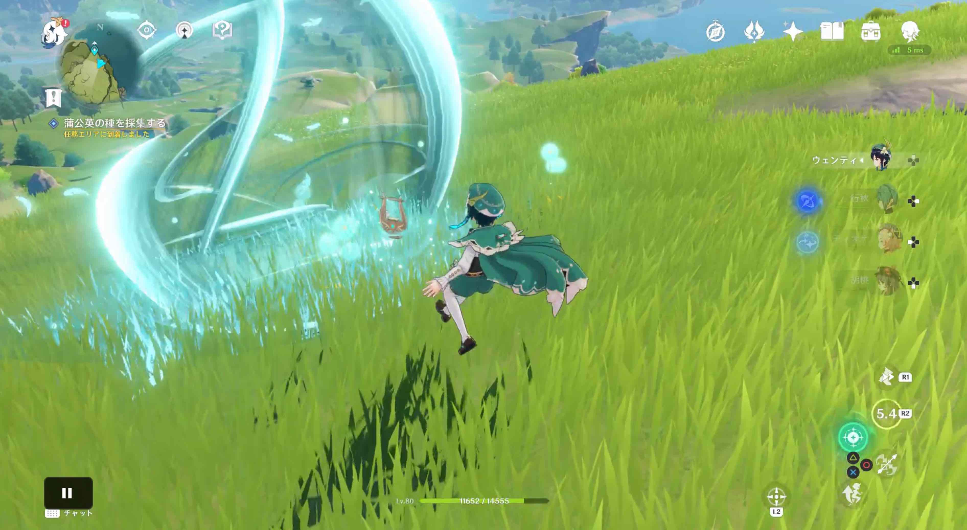 蒲公英の種を採集する