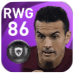 FPペドロ(3/22)の画像