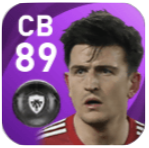 FPハリー・マグワイア(3/22)の画像