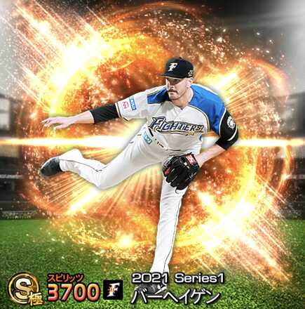 バーヘイゲン画像