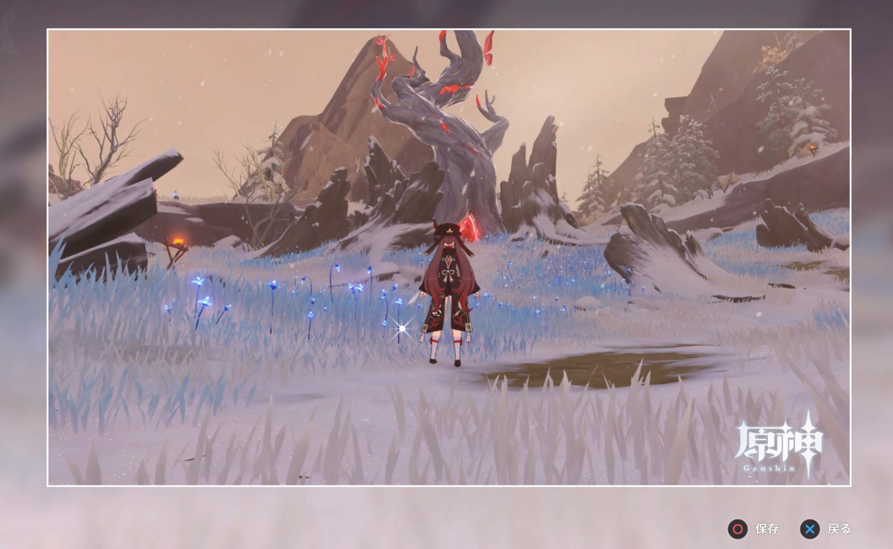 ドラゴンスパインの2箇所で写真を撮る必要がある