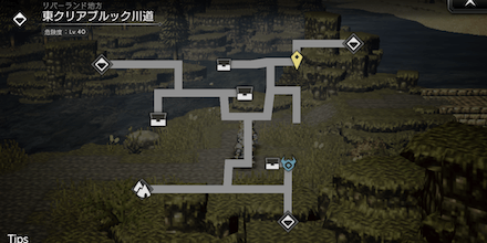 牧アルパカ権1つ目