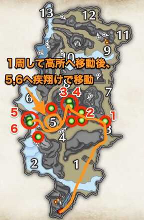 特産キノコの回収ルート