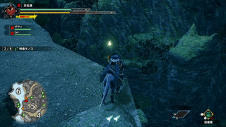 特産キノコの回収ルート3