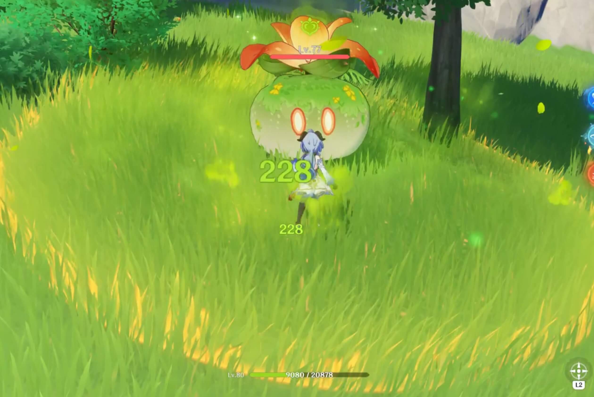 草元素フィールド展開