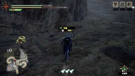 翔蟲を入手しておこう