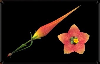 クラシーフレグランスの画像