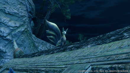 ハクメンコンモウ