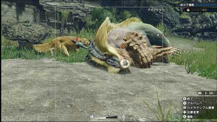 寝てるアオアシラ