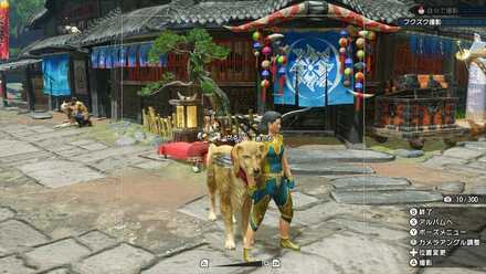 モンハンライズ カメラの使い方と写真の撮り方 撮影クエストの攻略 ゲームエイト モンハンライズ カメラの使い方と写真の撮り方 撮影クエストの攻略 ゲームエイト
