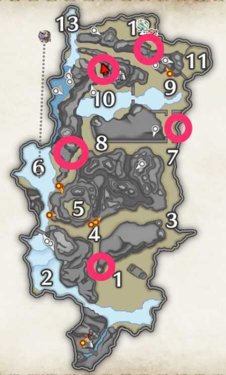 イシモリトカゲ場所