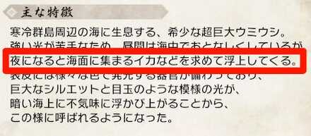 ウミウシ_夜？