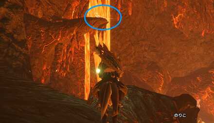 ゴクエンチョウ_居場所