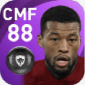 FPジョルジニオ・ワイナルドゥム(3/29)画像