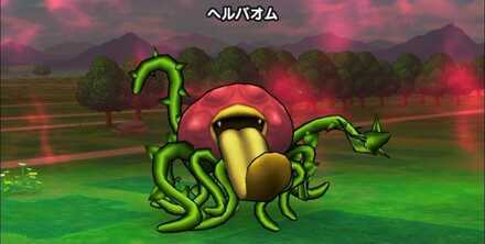 ヘルバオムの基本情報